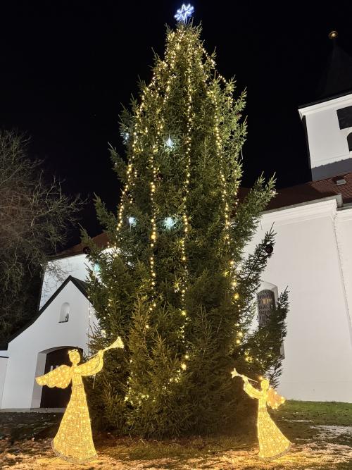 Rozsvícení vánočního stromečku 2025.