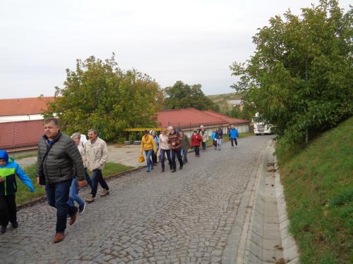 Zájezd na Moravu do vinařské oblasti Čejkovice
